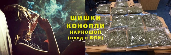 прущие грибы Алексин