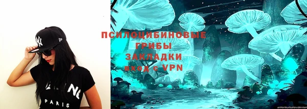 прущие грибы Алексин