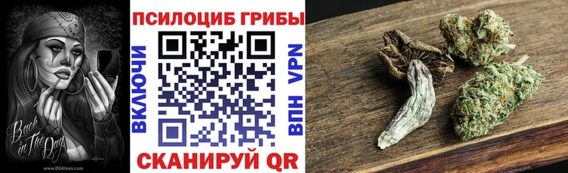omg зеркало Ливны Галлюциногенные грибы Psilocybe